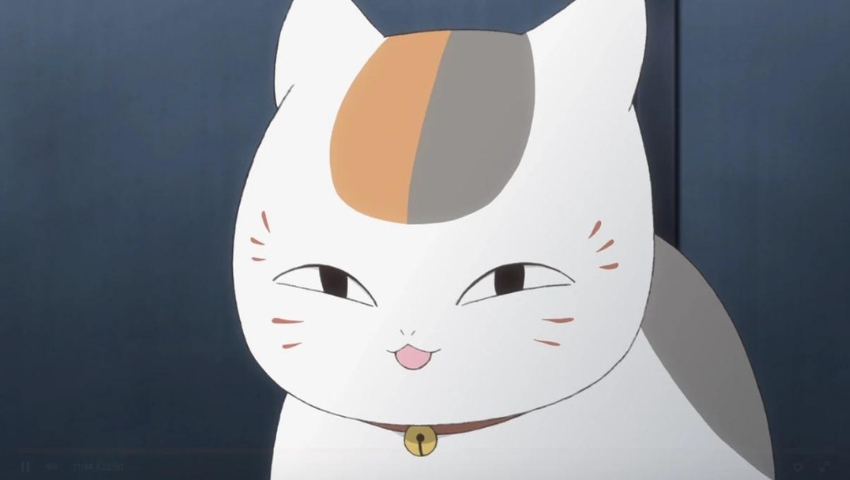 Meilleur Anime Cats Madara