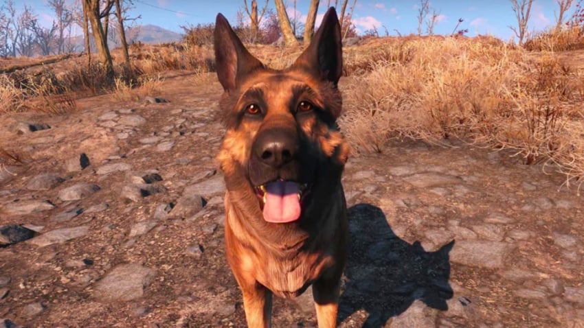 Meilleurs mods pour les compagnons de Fallout 4 - Le meilleur ami de tous
