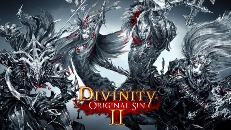 Meilleurs jeux RPG - Divinity Original Sin 2