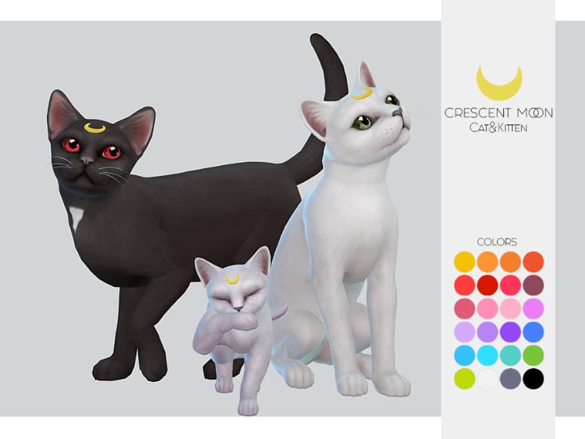 Les meilleurs mods pour animaux des Sims 4 - Crescent Moon pour les chats et les chatons