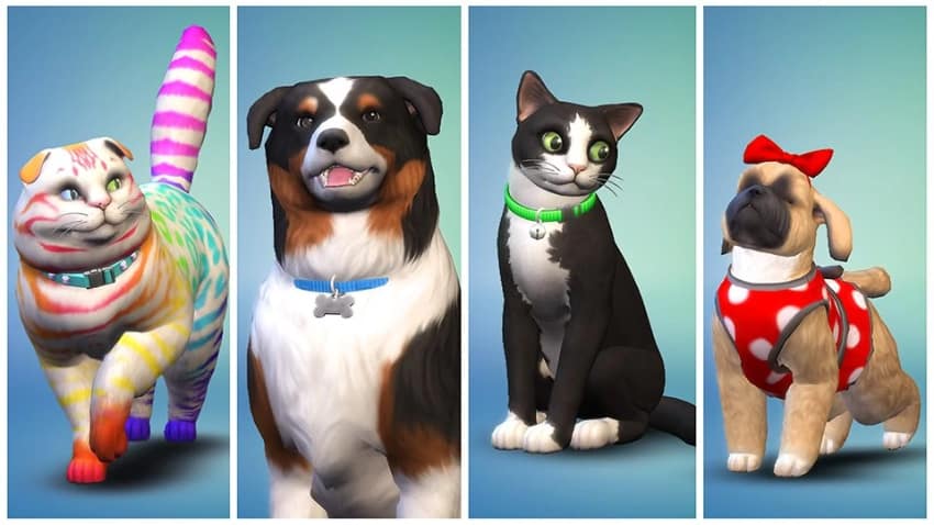 Les meilleurs mods pour animaux des Sims 4 - Pets Season Package