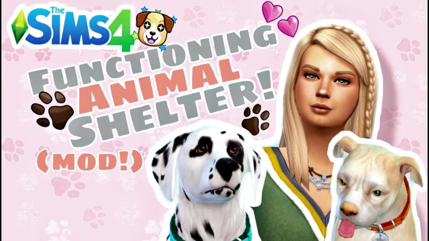 Les meilleurs mods pour animaux des Sims 4 - Animal Rescue Mod