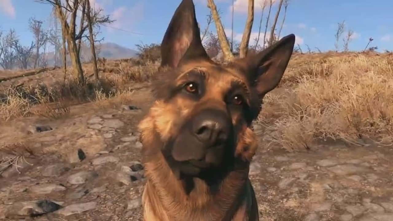 Les meilleurs mods de Fallout 4 - Stronger Dogmeat