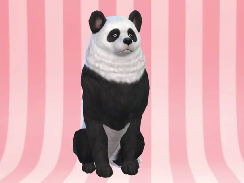Les meilleurs mods pour animaux des Sims 4 - Panda Maximus